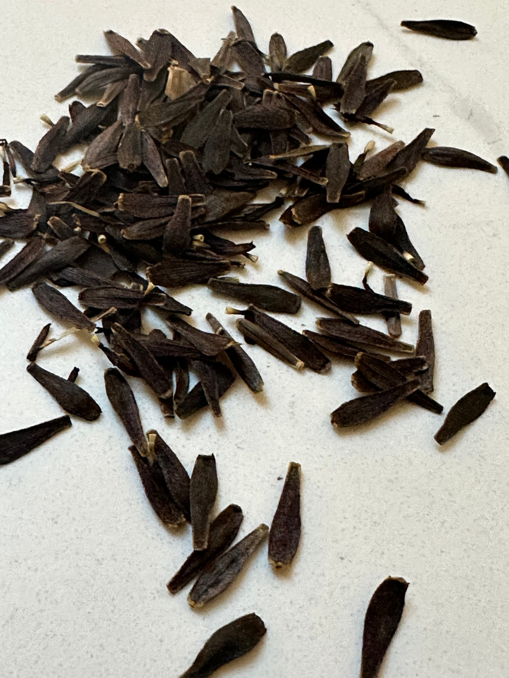 Dahlia Seeds- MIXED FULLY DOUBLE (Limit 1)