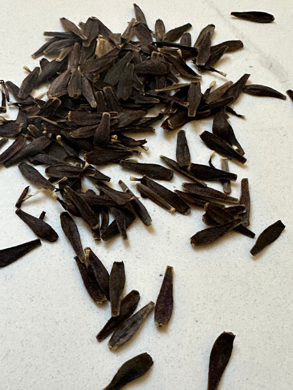Dahlia Seeds- MIXED SINGLE (Limit 1)