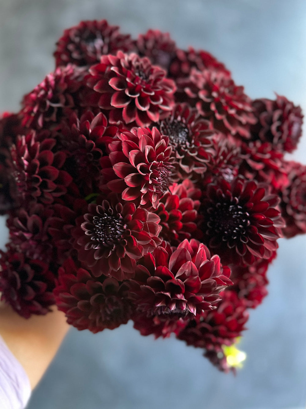 Rivers Dark Chocolate